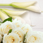 Sheer Lily & White Rose