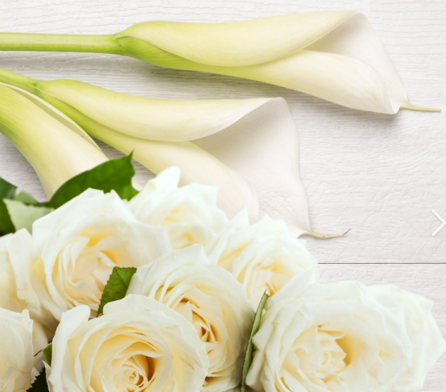 Sheer Lily & White Rose
